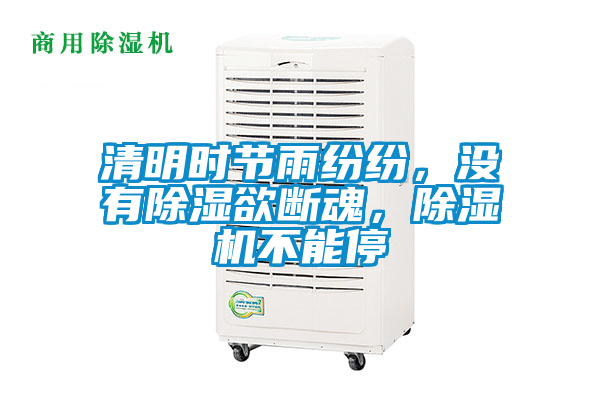 清明時節雨紛紛,沒有除濕欲斷魂,除濕機不能停