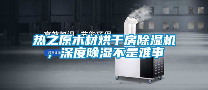 熱之原木材烘干房除濕機，深度除濕不是難事