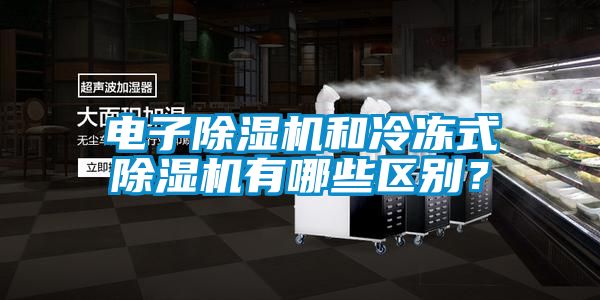 電子除濕機(jī)和冷凍式除濕機(jī)有哪些區(qū)別?