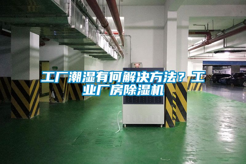 工廠潮濕有何解決方法？工業廠房除濕機