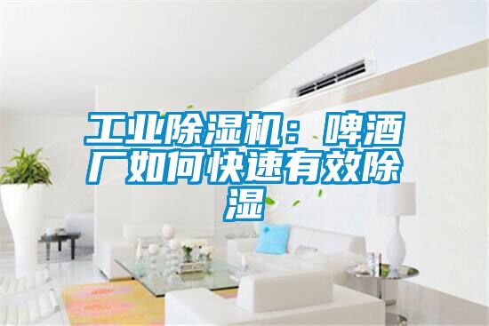 工業除濕機：啤酒廠如何快速有效除濕