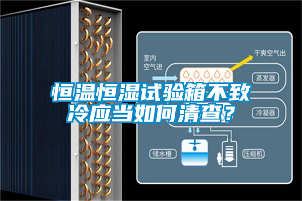 恒溫恒濕試驗箱不致冷應(yīng)當如何清查？