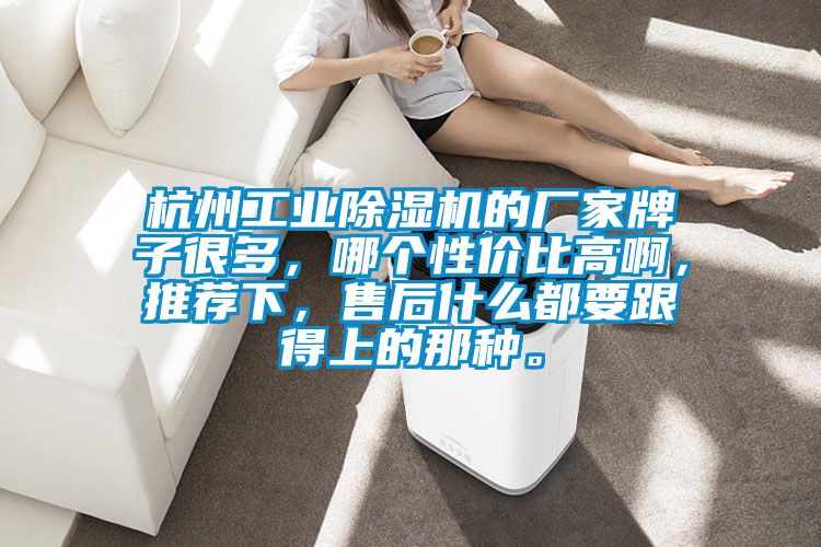 杭州工業除濕機的廠家牌子很多,哪個性價比高啊,推薦下,售后什么都要跟得上的那種。