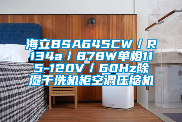 海立BSA645CW/R134a/878W單相115-120V/60Hz除濕干洗機柜空調壓縮機