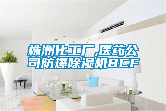 株洲化工廠,醫藥公司防爆除濕機BCF