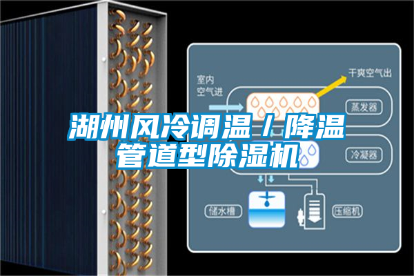 湖州風冷調溫/降溫管道型除濕機