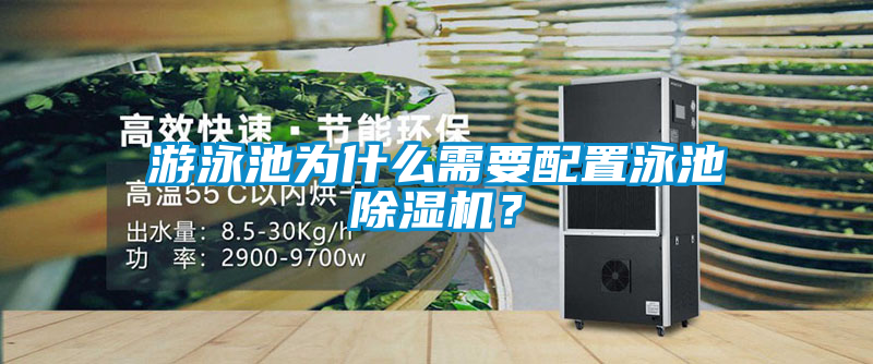 游泳池為什么需要配置泳池除濕機？