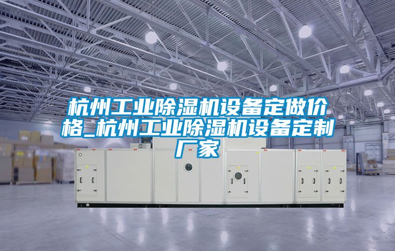 杭州工業除濕機設備定做價格_杭州工業除濕機設備定制廠家