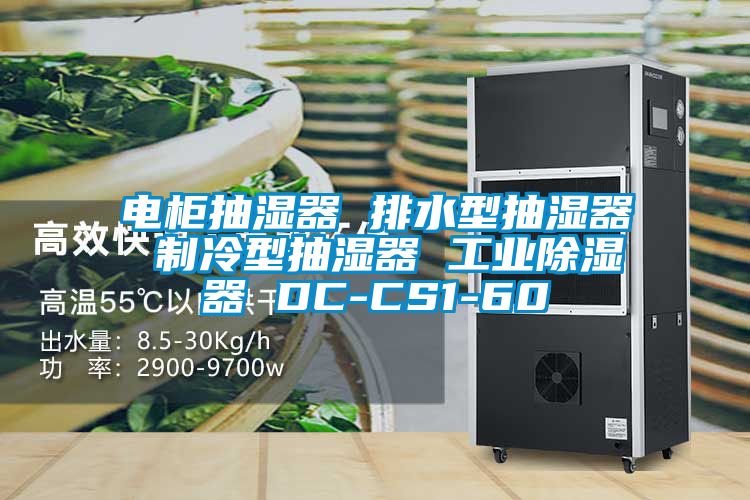 電柜抽濕器 排水型抽濕器 制冷型抽濕器 工業除濕器 DC-CS1-60