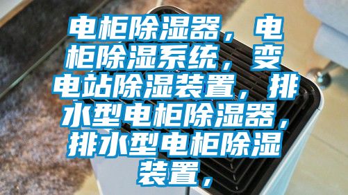 電柜除濕器，電柜除濕系統(tǒng)，變電站除濕裝置，排水型電柜除濕器，排水型電柜除濕裝置，