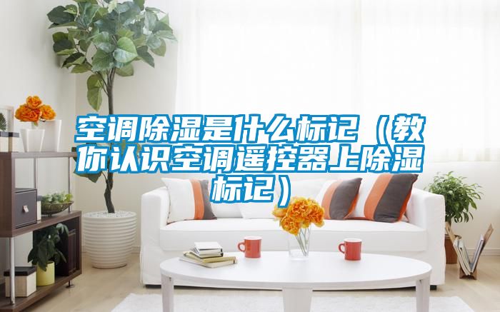 空調除濕是什么標記(教你認識空調遙控器上除濕標記)
