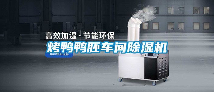 烤鴨鴨胚車間除濕機