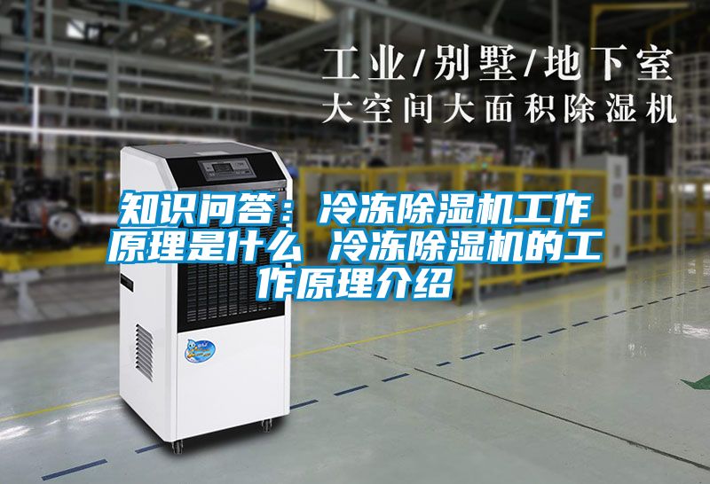 知識問答:冷凍除濕機工作原理是什么 冷凍除濕機的工作原理介紹