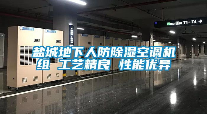 鹽城地下人防除濕空調機組 工藝精良 性能優異