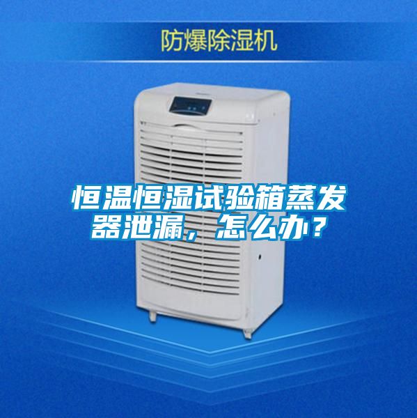 恒溫恒濕試驗箱蒸發器泄漏，怎么辦？