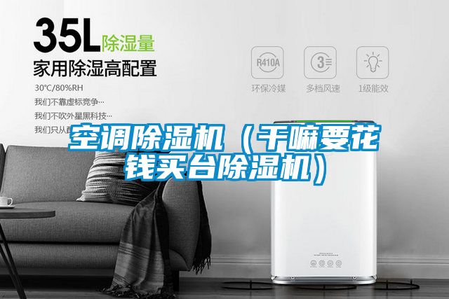 空調(diào)除濕機(jī)(干嘛要花錢買臺(tái)除濕機(jī))