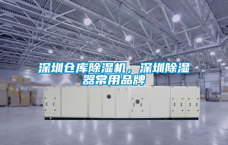 深圳倉(cāng)庫(kù)除濕機(jī),深圳除濕器常用品牌