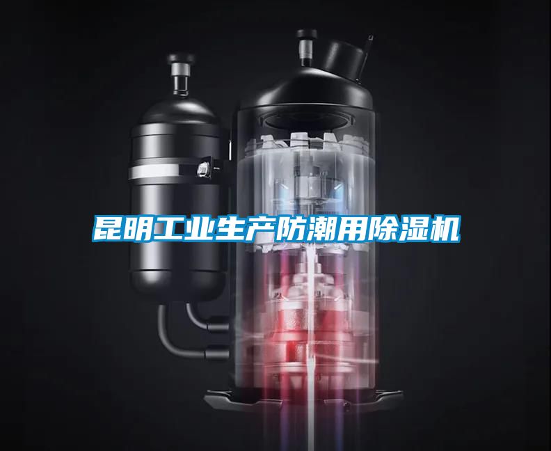 昆明工業生產防潮用除濕機