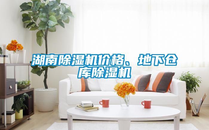 湖南除濕機(jī)價(jià)格、地下倉(cāng)庫(kù)除濕機(jī)