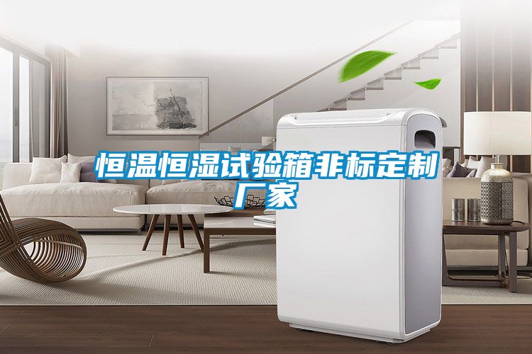 恒溫恒濕試驗箱非標定制廠家