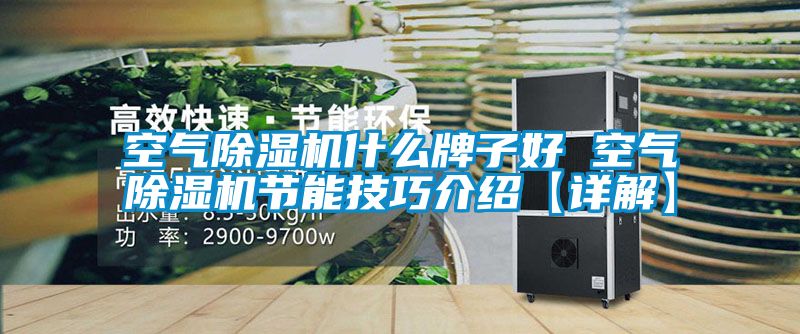 空氣除濕機什么牌子好 空氣除濕機節能技巧介紹【詳解】