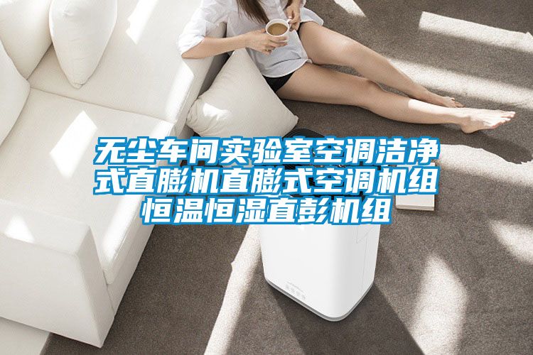 無塵車間實驗室空調潔凈式直膨機直膨式空調機組恒溫恒濕直彭機組