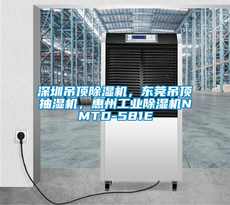 深圳吊頂除濕機,東莞吊頂抽濕機,惠州工業除濕機NMTD-581E