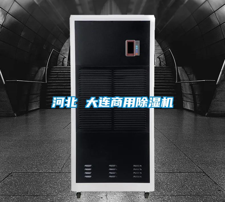 河北 大連商用除濕機