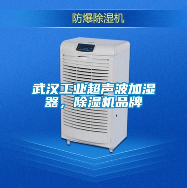 武漢工業超聲波加濕器,除濕機品牌