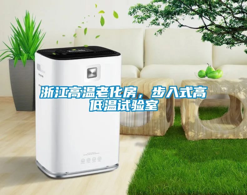 浙江高溫老化房，步入式高低溫試驗室