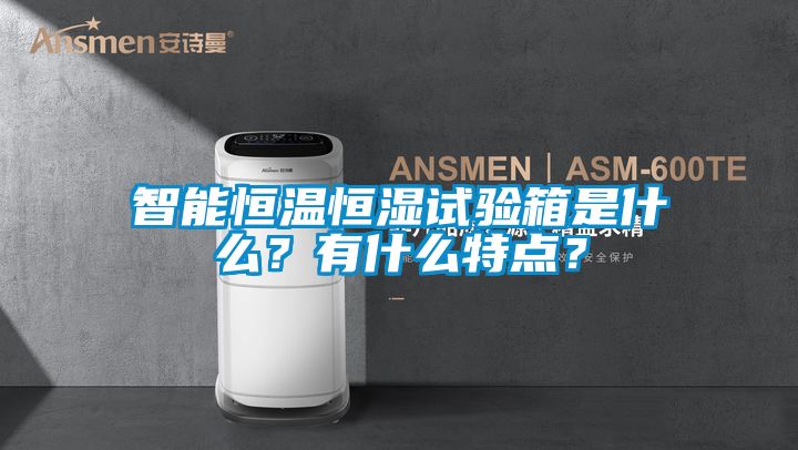 智能恒溫恒濕試驗箱是什么?有什么特點?