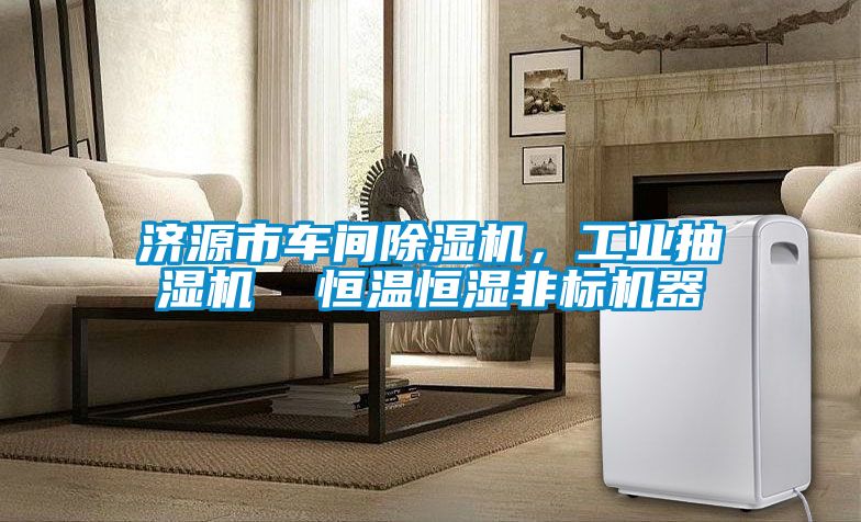 濟(jì)源市車(chē)間除濕機(jī),工業(yè)抽濕機(jī) 恒溫恒濕非標(biāo)機(jī)器