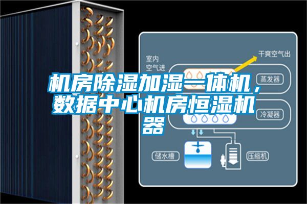 機(jī)房除濕加濕一體機(jī)，數(shù)據(jù)中心機(jī)房恒濕機(jī)器