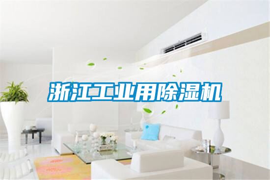 浙江工業用除濕機