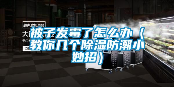 被子發霉了怎么辦（教你幾個除濕防潮小妙招）