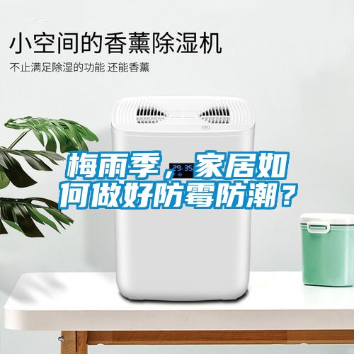 梅雨季，家居如何做好防霉防潮？