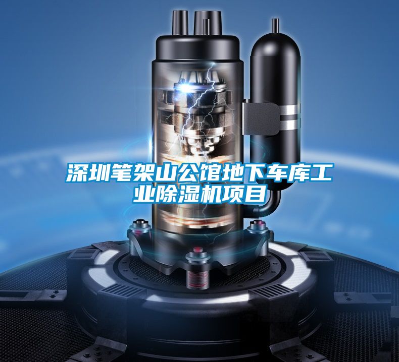 深圳筆架山公館地下車庫工業除濕機項目