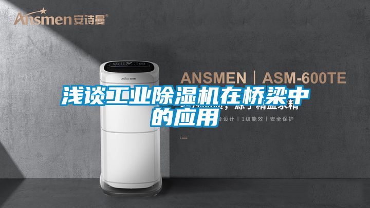 淺談工業(yè)除濕機在橋梁中的應用