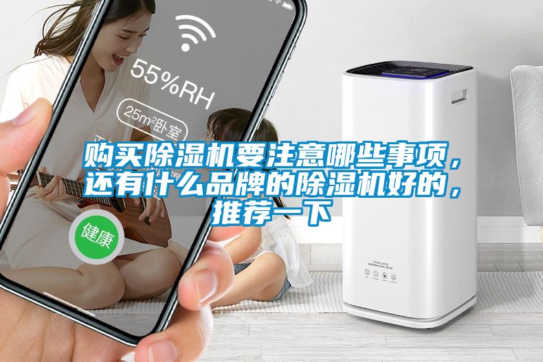 購買除濕機要注意哪些事項，還有什么品牌的除濕機好的，推薦一下