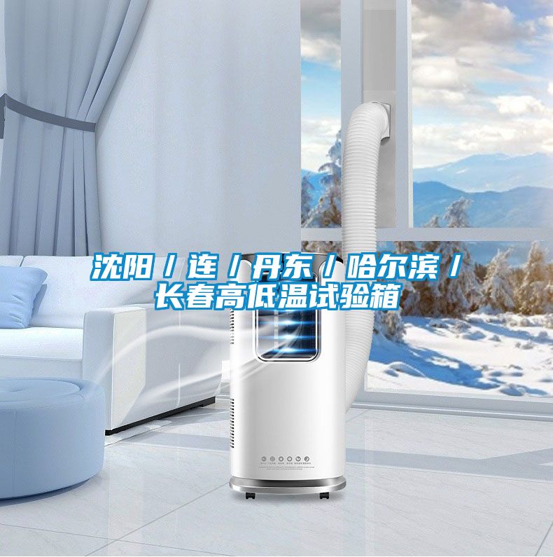 沈陽/連/丹東/哈爾濱/長春高低溫試驗箱