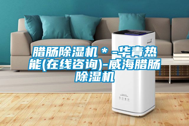 臘腸除濕機＊-華青熱能(在線咨詢)-威海臘腸除濕機