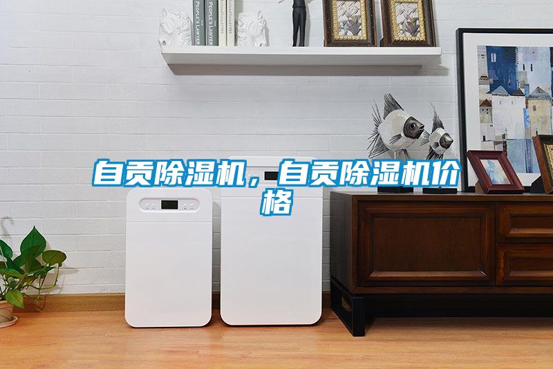 自貢除濕機,自貢除濕機價格