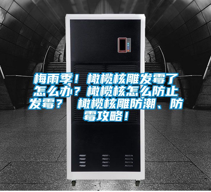 梅雨季!橄欖核雕發(fā)霉了怎么辦?橄欖核怎么防止發(fā)霉? 橄欖核雕防潮、防霉攻略!