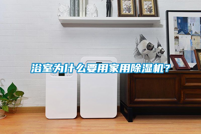 浴室為什么要用家用除濕機？