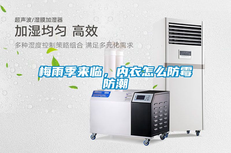 梅雨季來臨,內衣怎么防霉防潮