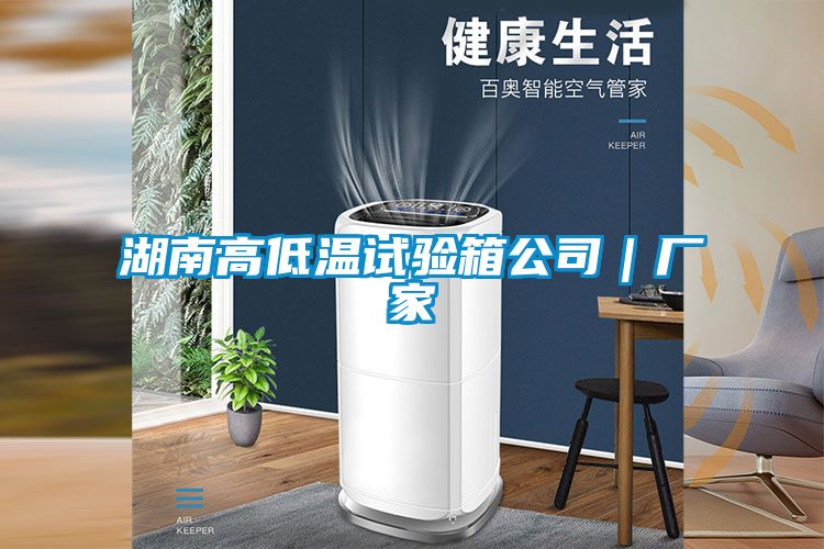 湖南高低溫試驗箱公司|廠家
