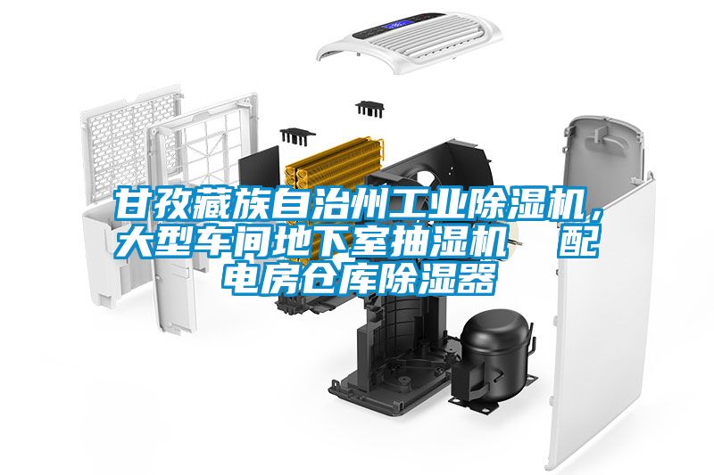 甘孜藏族自治州工業除濕機，大型車間地下室抽濕機  配電房倉庫除濕器