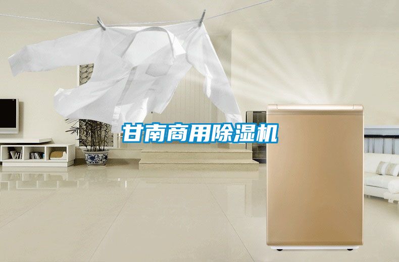 甘南商用除濕機