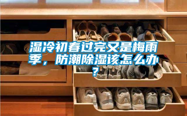 濕冷初春過完又是梅雨季,防潮除濕該怎么辦?