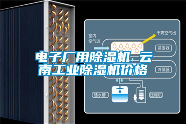 電子廠用除濕機 云南工業除濕機價格